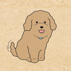 오늘의 추억 64화